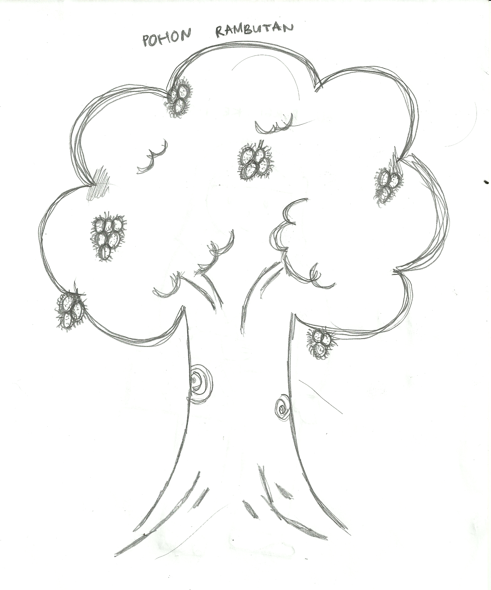 Arti Menggambar Pohon Saat Psikotest